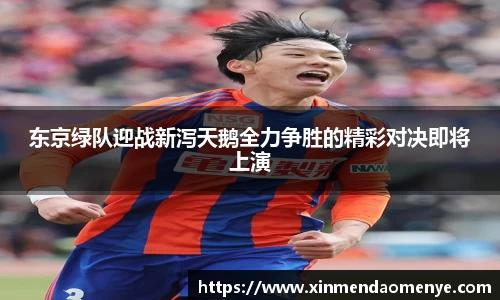 东京绿队迎战新泻天鹅全力争胜的精彩对决即将上演