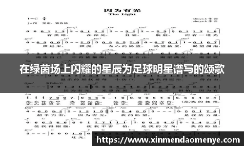 在绿茵场上闪耀的星辰为足球明星谱写的颂歌