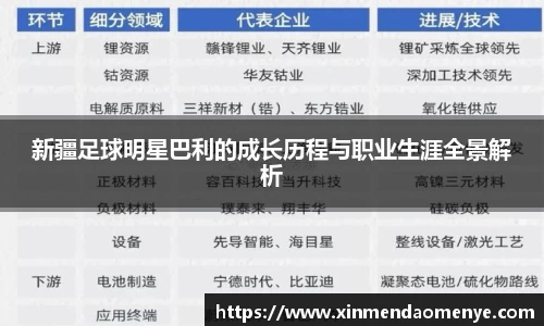 新疆足球明星巴利的成长历程与职业生涯全景解析