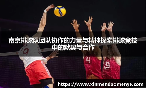 南京排球队团队协作的力量与精神探索排球竞技中的默契与合作